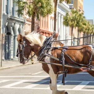 historic charleston south carolina downtown scenery